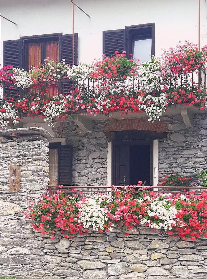 B&B Terra Di Confine Venalzio Exterior foto